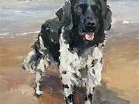 Hondje aan zee.